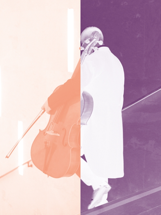 Cellist zweifarbig monochrom