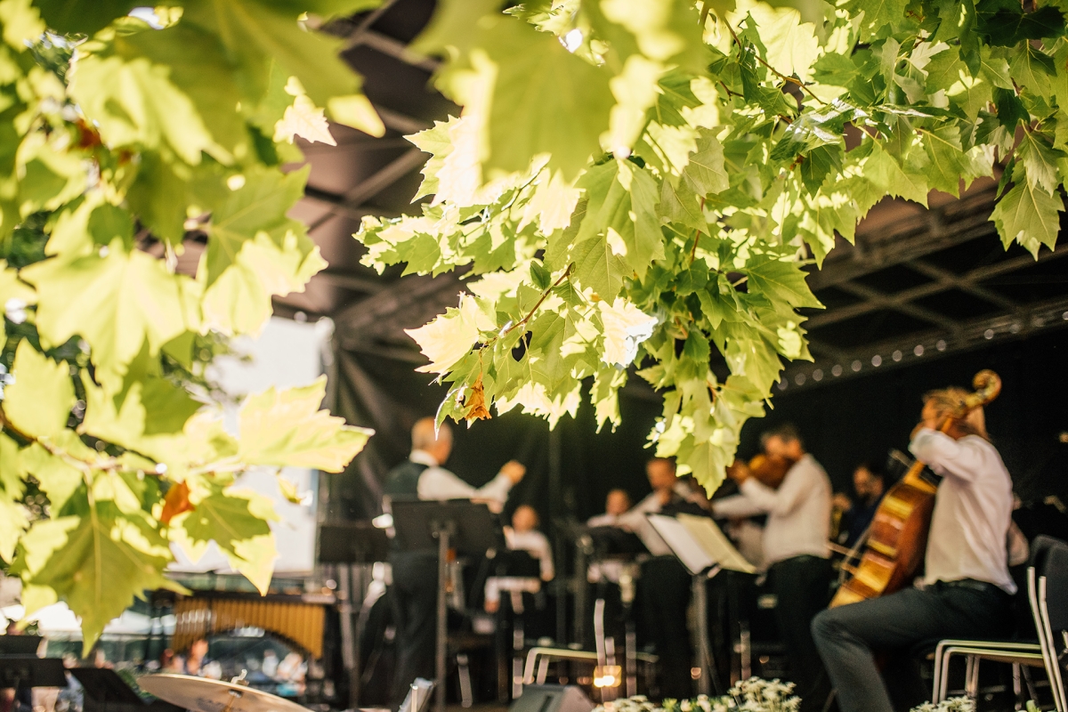 Open-Air-Bühne unter einem Baum